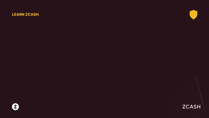 Zcash: Why Experts Believe...?